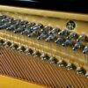 Weber 48 Professional Upright Piano WB122B details strings
